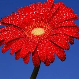 �����, ������, 24 ����