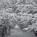 ���� �������, ����������� - ��������� 22 ������ 2025 � ������ ���� ����������