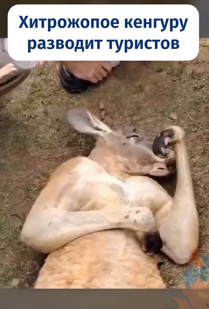 ������� ����� �������� ������ � ������ ���, ��� ��������, ����� �������� �������� �� �������� � ... - 2