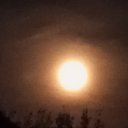 ���� �����, ����, 72 ���� - ��������� 16 �������� 2025 � ������ ���� ����������