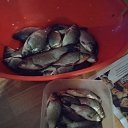 ���� ����, ���������, 39 ��� - ��������� 26 ��� 2026 � ������ ���� ����������