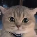 ���� �������, ����, 49 ��� - ��������� 22 ����� 2026