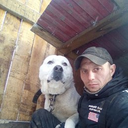 ��������, 38 ���, ����