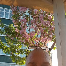 , 49, 