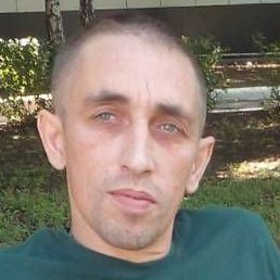 ����, �������, 41 ���