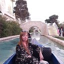 ���� �������, ������ ��������, 56 ��� - ��������� 14 ���� 2026