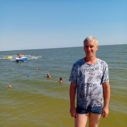 ������, 43 ����, ������