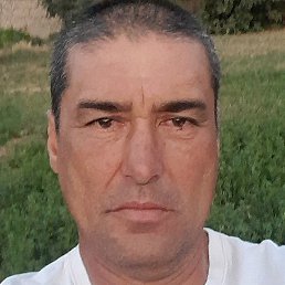 �����, �����, 48 ���