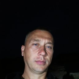 , 37, 