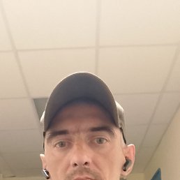 �����, 41 ���, �����