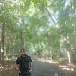 �����, ���, 32 ����