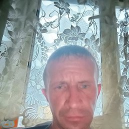 , 43 , 