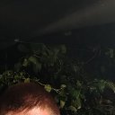 ���� ����, ���������, 19 ��� - ��������� 24 ���� 2025 � ������ ���� ����������