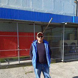 �����, ������, 41 ���