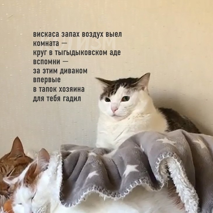 �� ��� ������) - 4