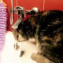 ���� ����, ������ - ��������� 13 ������ 2025 � ������ ������ ��������