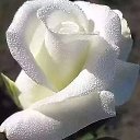 ���� ����, ������, 68 ��� - ��������� 22 ������� 2023 � ������ ���� ����������