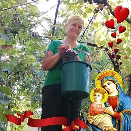 Alex, �������, 61 ���