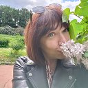 ���� �������, ������, 55 ��� - ��������� 13 ���� 2026 � ������ ���� ����������