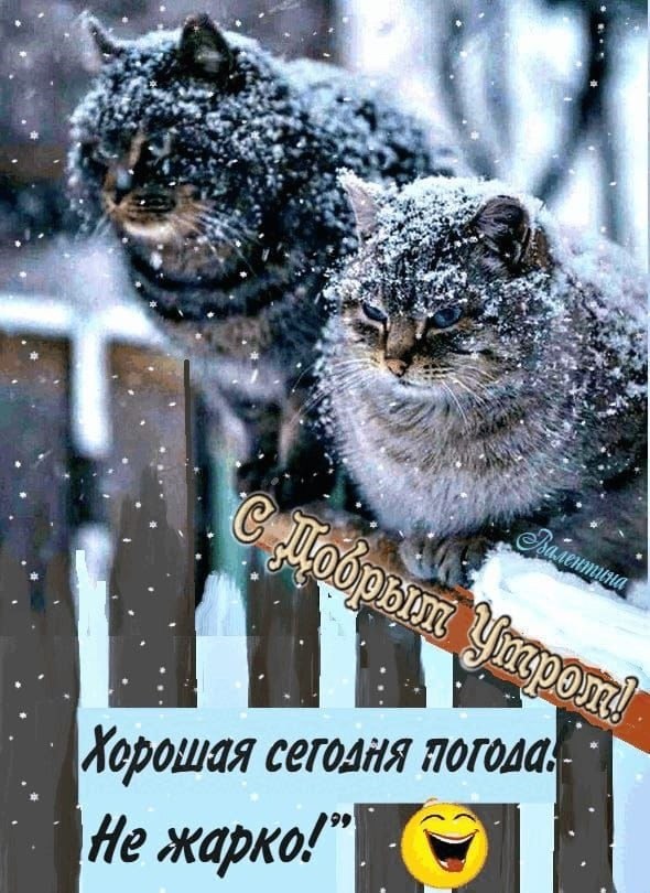 � ��� ���� ���� ��������,� �����,� ����� ��� �� 10 �� �������,�� ������... - 2