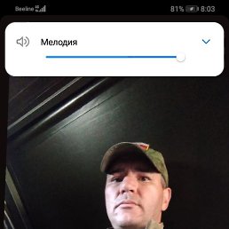 ����, ������, 43 ����