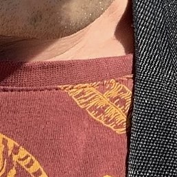 ���������, ������, 24 ����