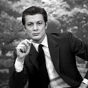 ���� ������, ������ ��������, 51 ��� - ��������� 27 ������ 2023 � ������ ������