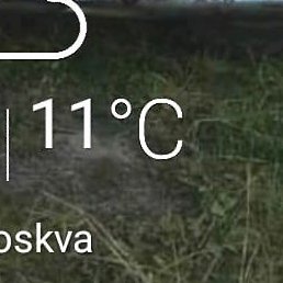 �������, �����������, 49 ���