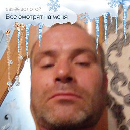 ���� ����������, ����, 41 ��� - ��������� 12 ������� 2026