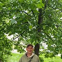 ���� ��������, ������, 45 ��� - ��������� 26 ������� 2026 � ������ ���� ����������