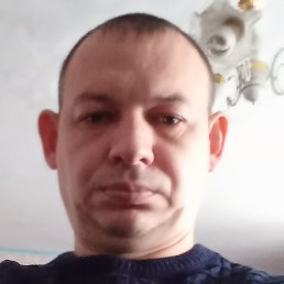 �������, �������-���������, 46 ���