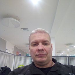 ������, 41 ���, ������