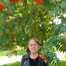 �����, 42 ����, ������