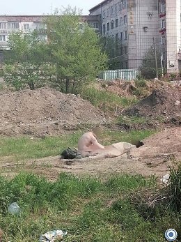 �����������