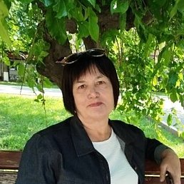 �����, ������, 67 ���