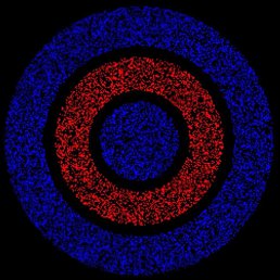 ���� ����, �����������, 58 ��� - ��������� 10 ������� 2026