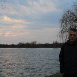 , 24, 