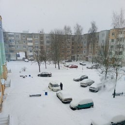 Hsan, �����, 38 ���