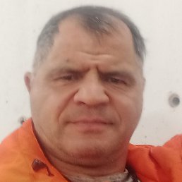 �����������, �����-���������, 54 ����