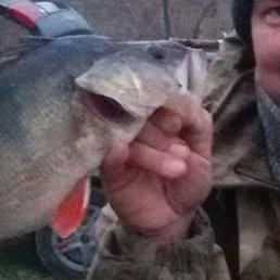 ����, �����, 48 ���