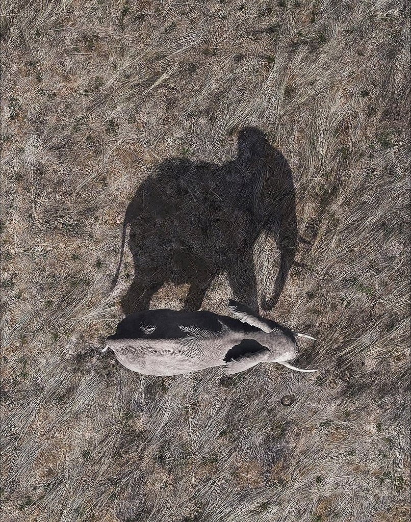 Abstract Aerial Art          ,   ... - 4