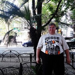 ������-����������, 55 ���, ���������