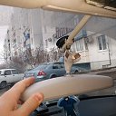 ���� ����, �������, 31 ��� - ��������� 22 ����� 2024 � ������ ���� ����������