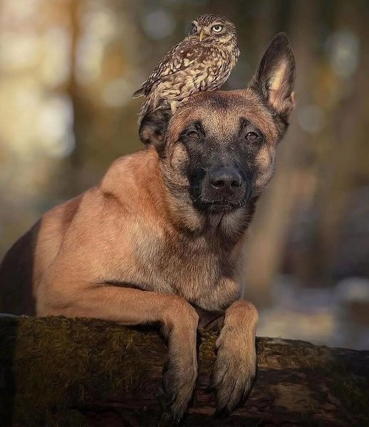 �������� �������� ���� ������ �������� �������� ����� ������ �������, ��� ����������� ������� ���� ... - 7