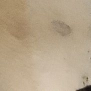 , 51 , 