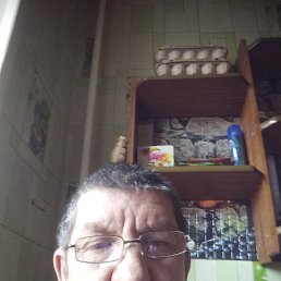 , 65, 