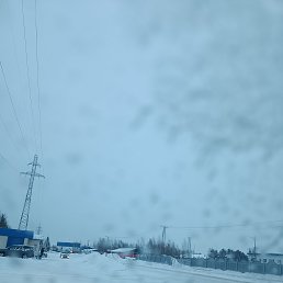 ���� ����, ������, 36 ��� - ��������� 8 ������ 2024