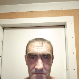 , 44, 