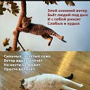 ���� �����, ��������� - ��������� 7 ������ 2025 � ������ ������ ��������