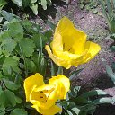 ���� ����, ����, 45 ��� - ��������� 26 ����� 2025 � ������ ���� ����������